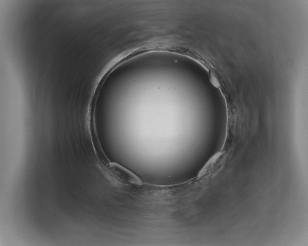 X0000113090100200908281251
