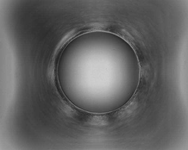 X0000113090101200908281251