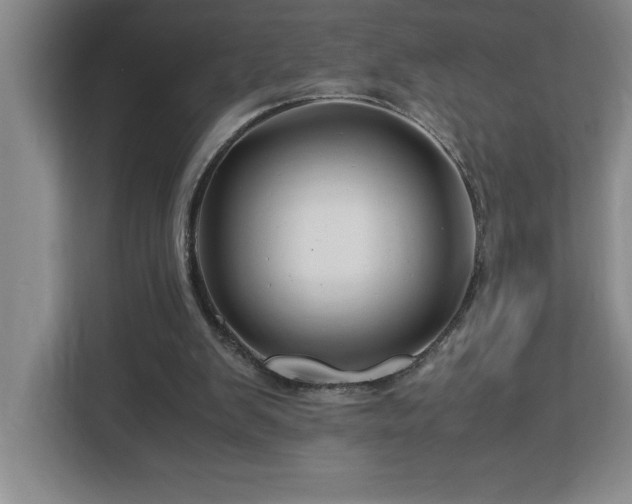 X0000113090103200908281251