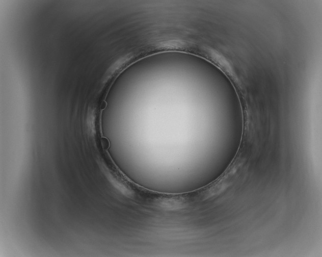 X0000113090106200908281251