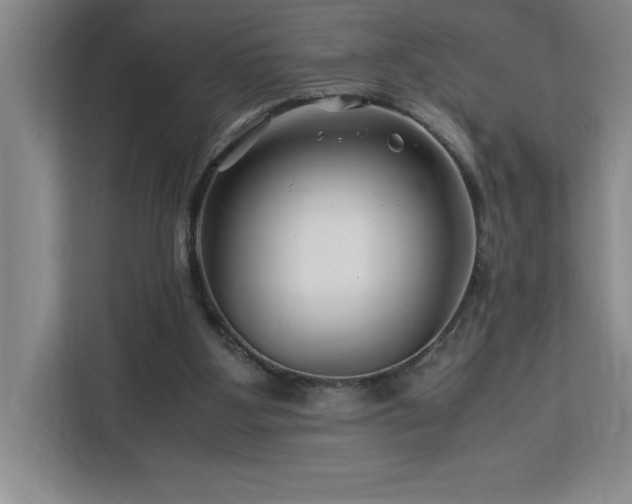 X0000113090107200908281251