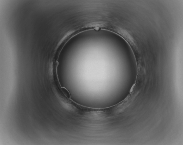 X0000113090108200908281251