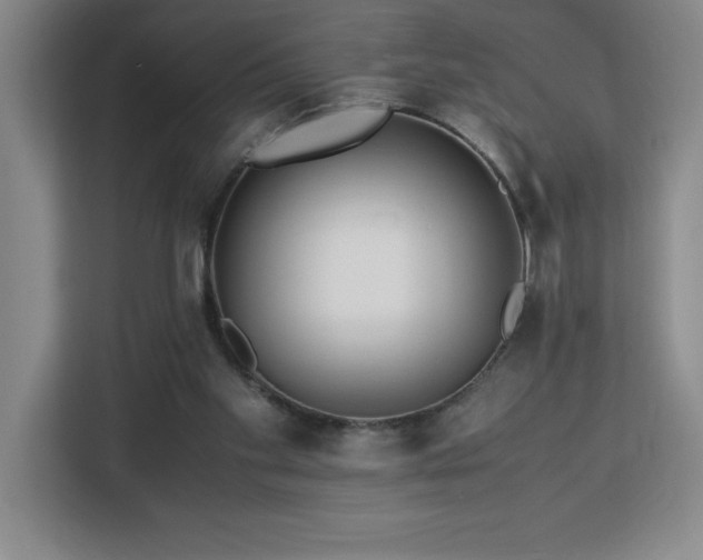 X0000113090109200908281251