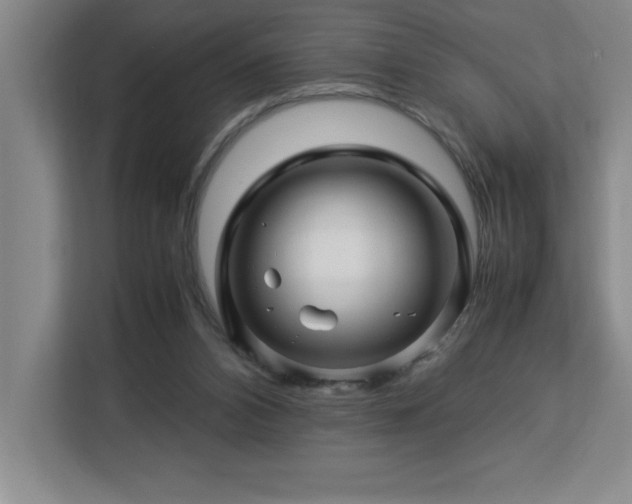 X0000113090112200908281251