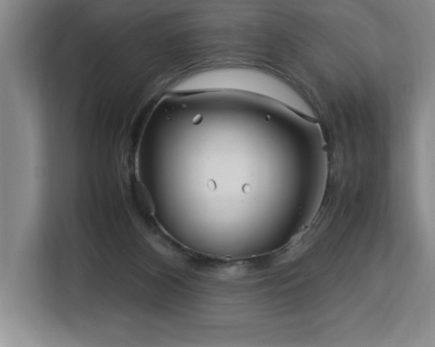 X0000113090116200908281251
