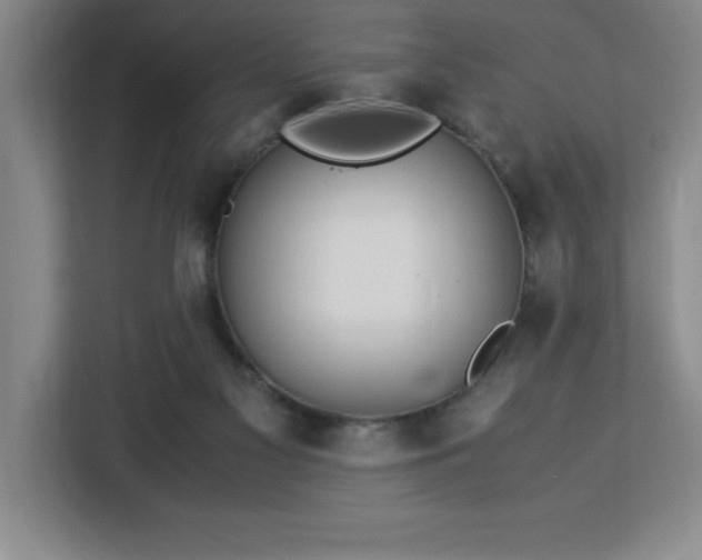 X0000113090117200908281251