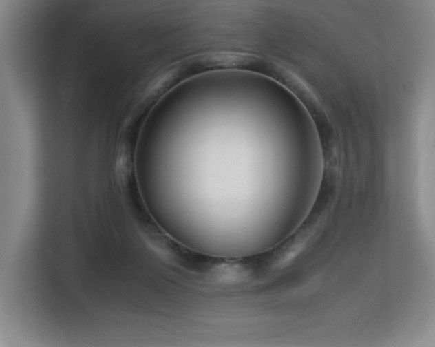 X0000113090119200908281251