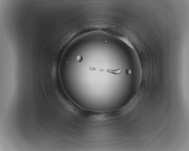 X0000113090120200908281251
