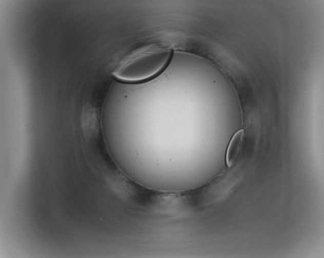 X0000113090121200908281251
