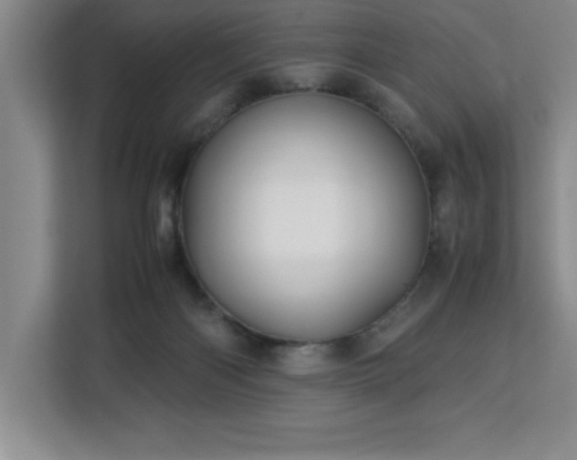 X0000113090122200908281251