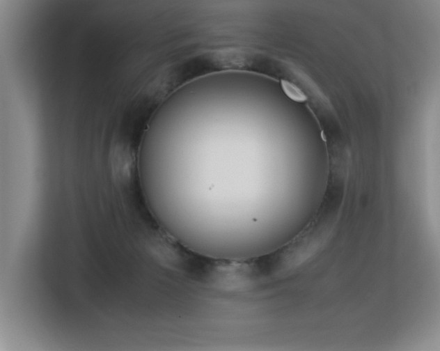 X0000113090125200908281251