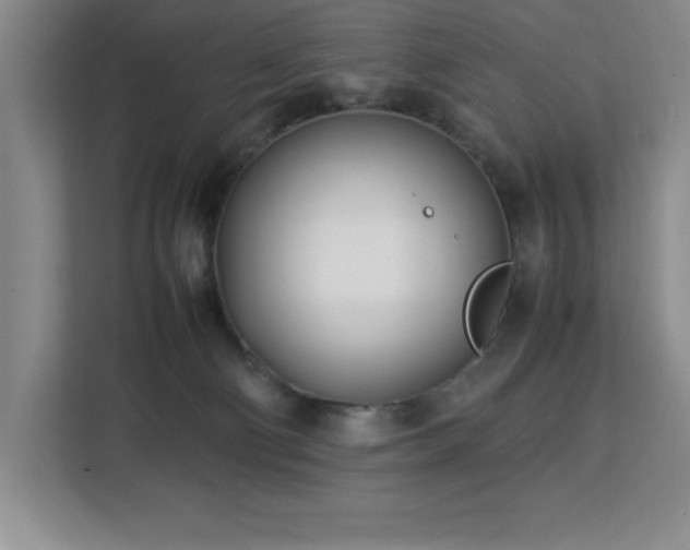 X0000113090130200908281251