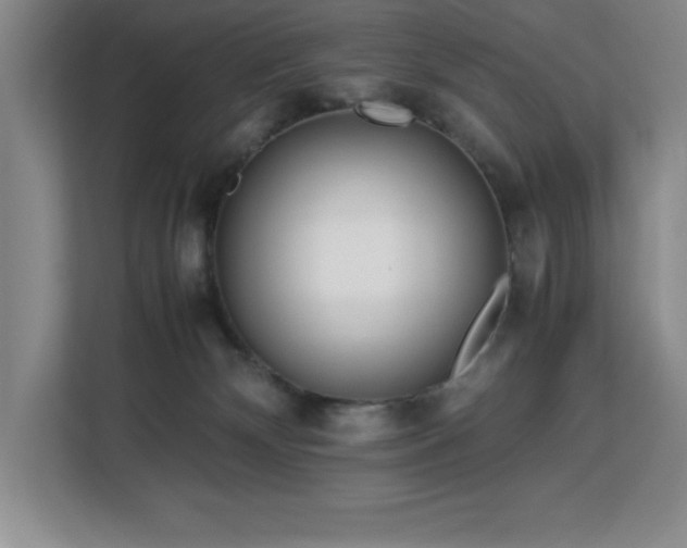 X0000113090132200908281251