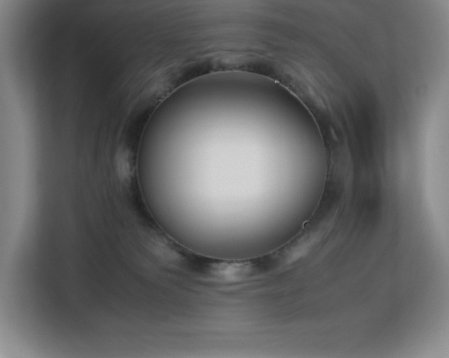 X0000113090135200908281251