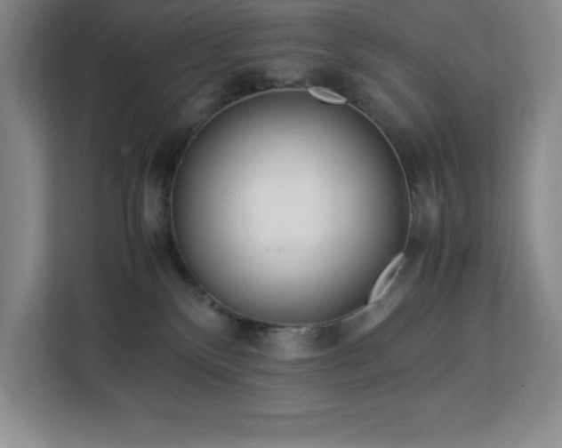 X0000113090136200908281251