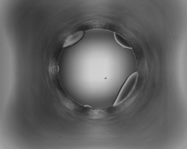 X0000113090137200908281251