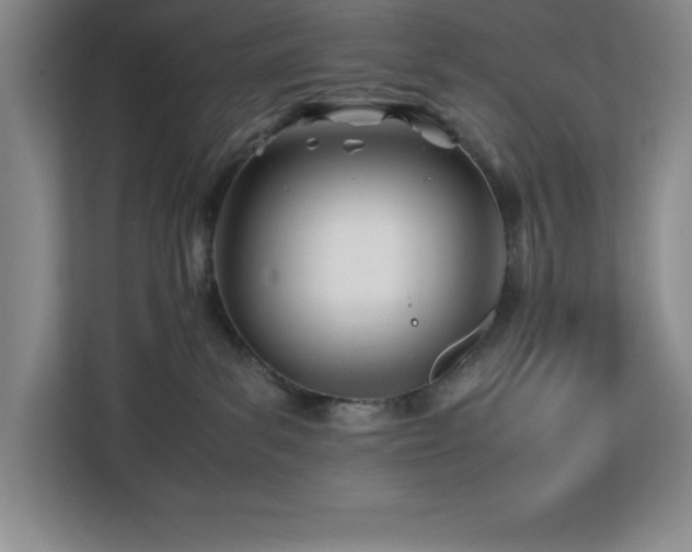 X0000113090139200908281251