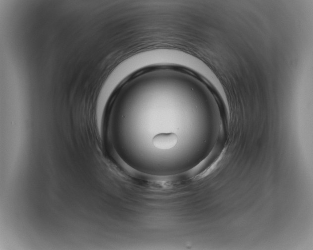 X0000113090140200908281251