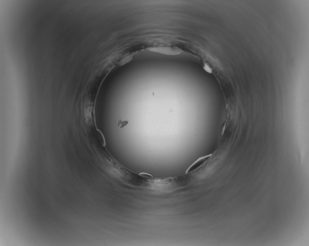 X0000113090141200908281251