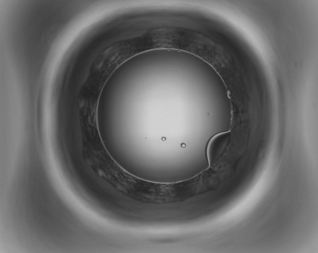 X0000113090143200908281251
