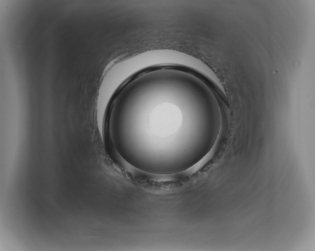 X0000113090144200908281251