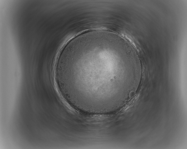 X0000113090145200908281250