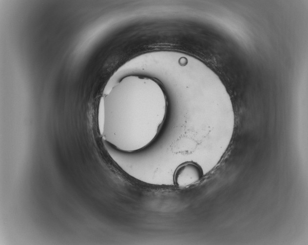 X0000113090146200908281250