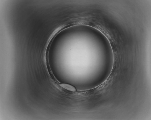 X0000113090147200908281250