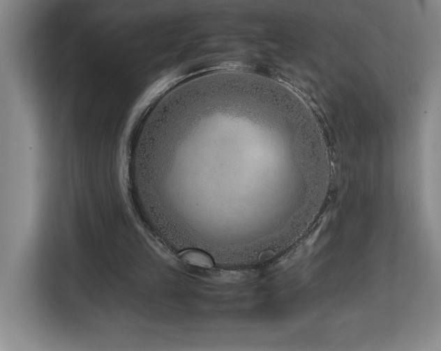 X0000113090149200908281250