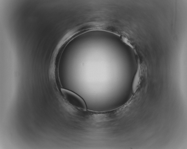 X0000113090150200908281250