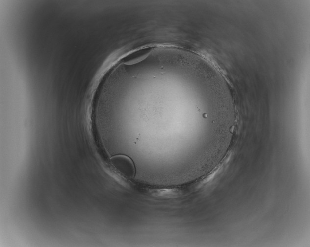 X0000113090151200908281250