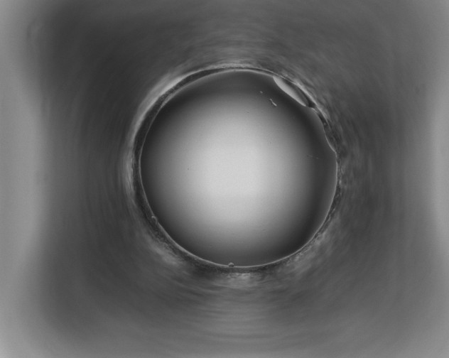X0000113090152200908281250