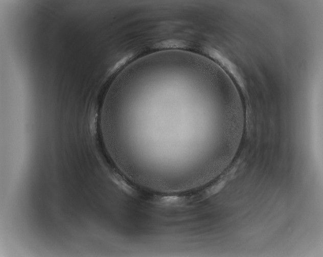 X0000113090153200908281250