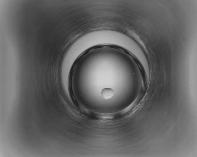 X0000113090154200908281250