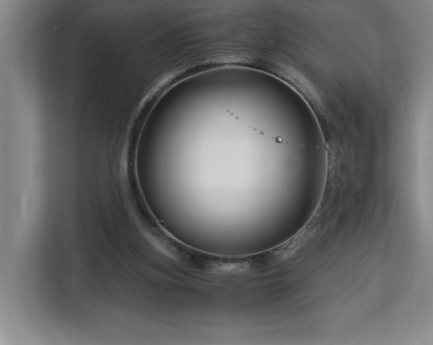 X0000113090155200908281250