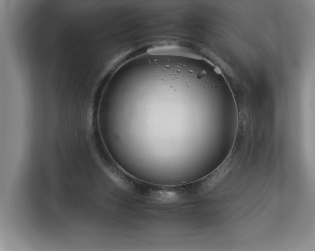 X0000113090159200908281250