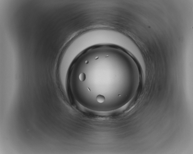 X0000113090160200908281250