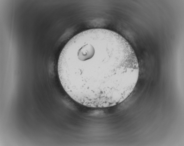 X0000113090162200908281250