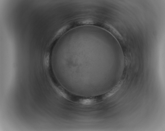 X0000113090163200908281250