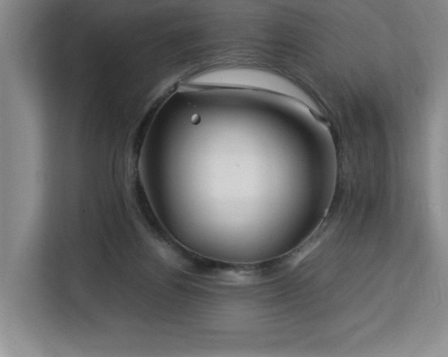 X0000113090164200908281250