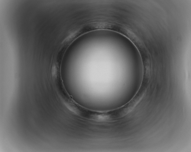 X0000113090165200908281250