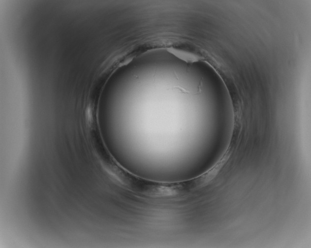 X0000113090166200908281250