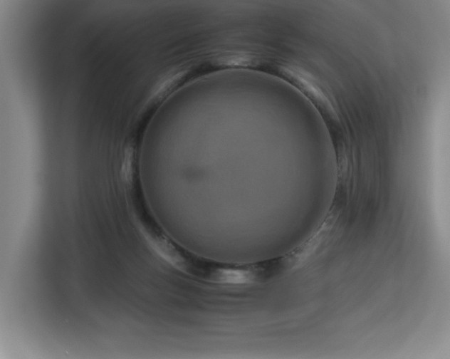 X0000113090167200908281250