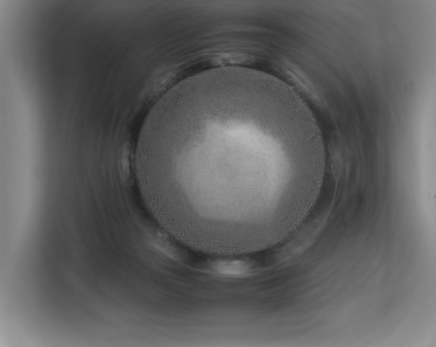 X0000113090169200908281250