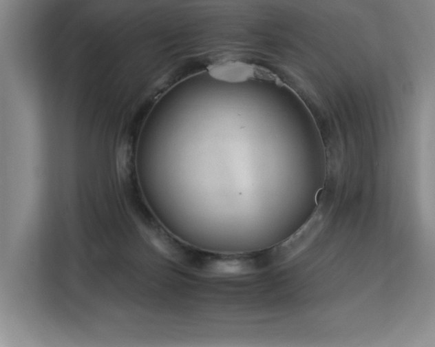X0000113090171200908281250