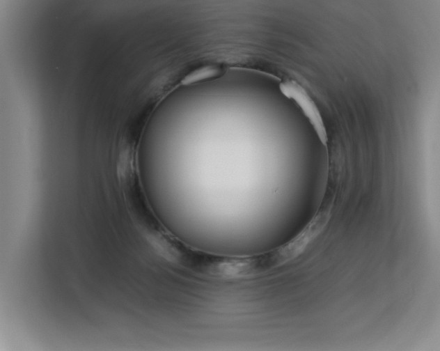 X0000113090172200908281250