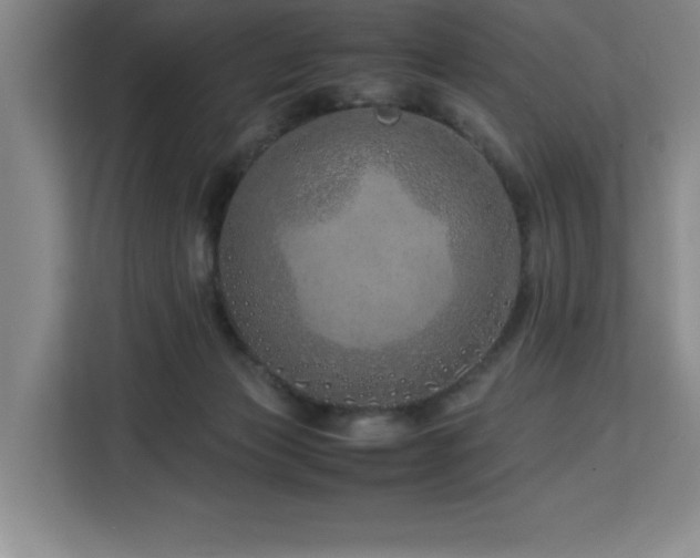 X0000113090173200908281250