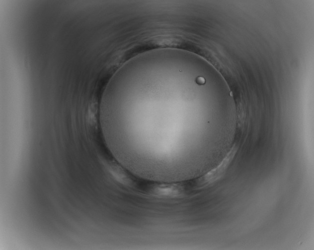 X0000113090175200908281250