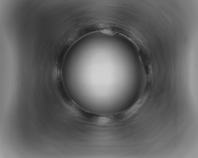 X0000113090176200908281250