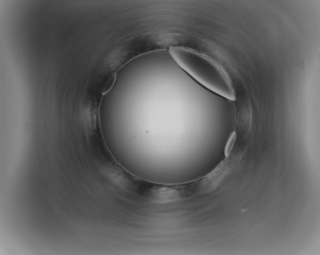 X0000113090180200908281251